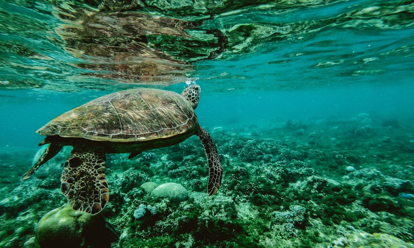 Our Ocean Youth Leadership Summit