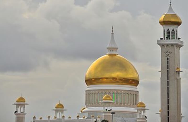 My World 2030 Advocate