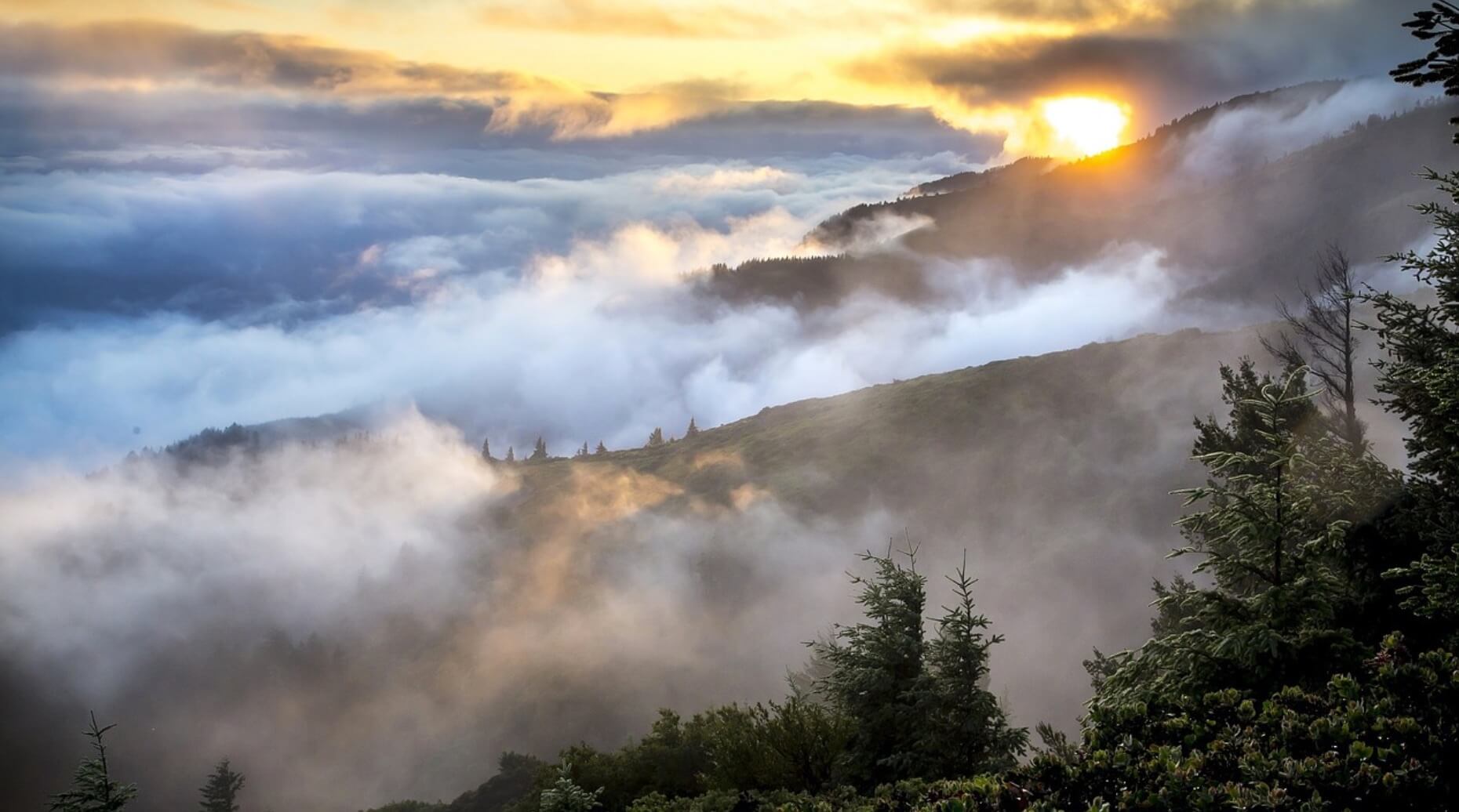 Youth Eco-Champions Award