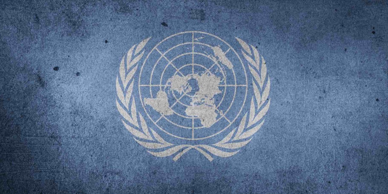 Understanding the United Nations in the World