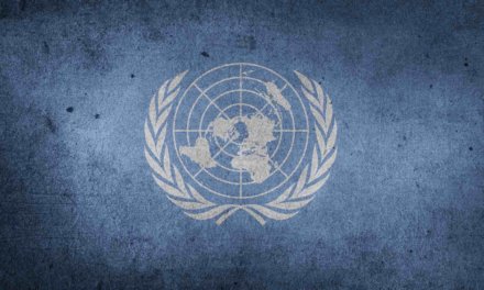 Understanding the United Nations in the World
