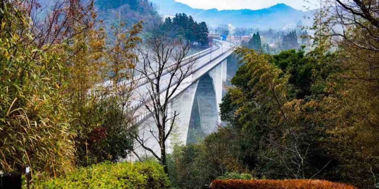 Global Youth Biodiversity Summit 2020 in Miyazaki, Japan