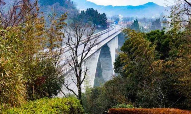 Global Youth Biodiversity Summit 2020 in Miyazaki, Japan