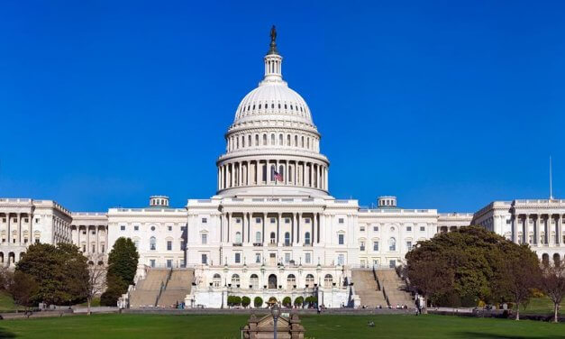 YSEALI Professional Fellows (Fall 2020)