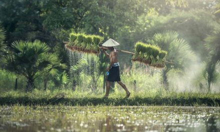 The QS Impact Skills ‘Game for Good’ Challenge 2026