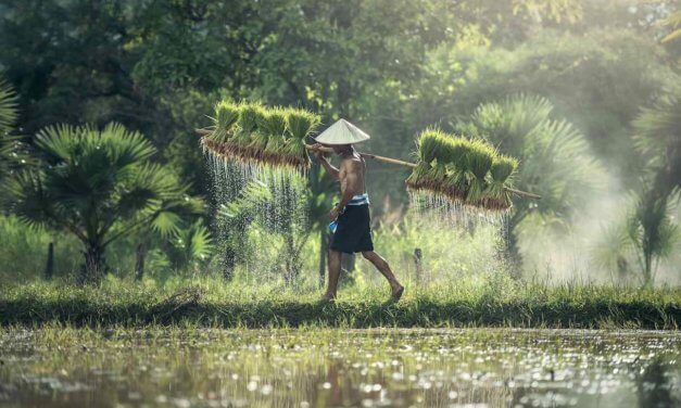 The QS Impact Skills ‘Game for Good’ Challenge 2026