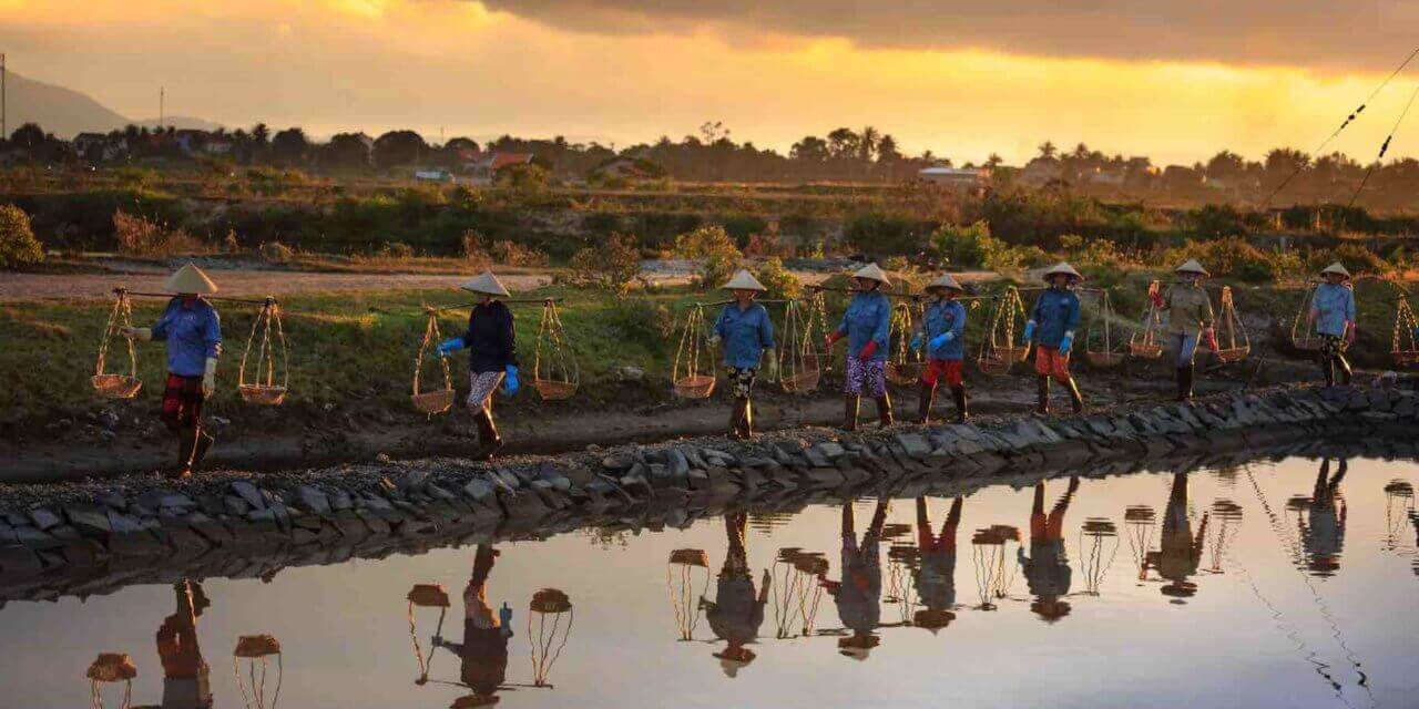 UN Fellows Programme (Food and Agriculture)