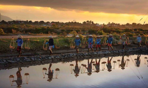 UN Fellows Programme (Food and Agriculture)