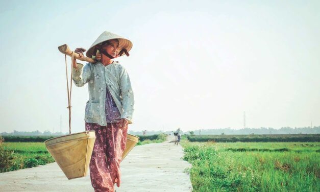 SEALNet Project Vietnam: Food Safety & Organic Farming