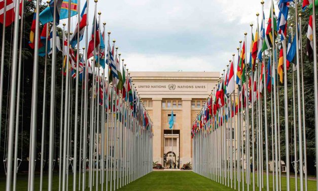 Open Now: The United Nations Young Professionals Programme