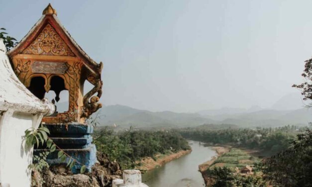 SEALNet Summer Project Leadership 2021