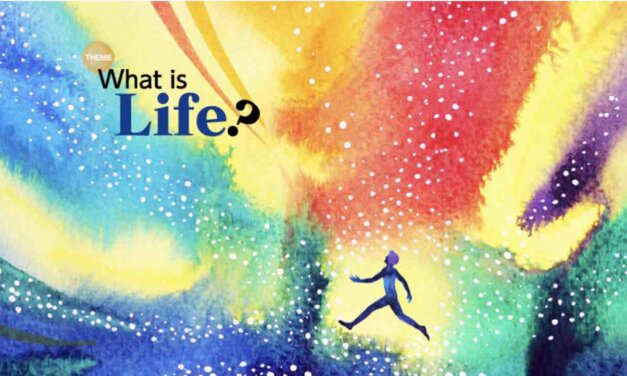 Goi Peace Foundation Essay Contest 2021