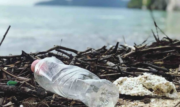 ASEANO Youth Video Competition on Reducing Plastic Pollution