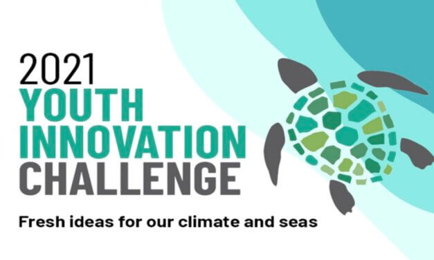 Global Environmental Youth Innovation Challenge 2021