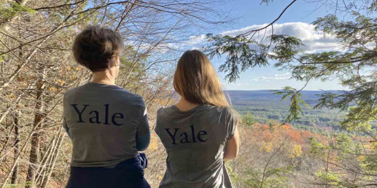 Yale Peace Fellowship 2026 (Leadership Program)