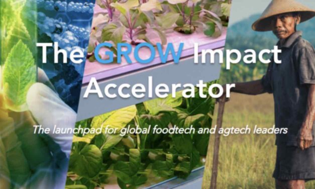 Join the GROW Impact Accelerator (Cohort 2022)