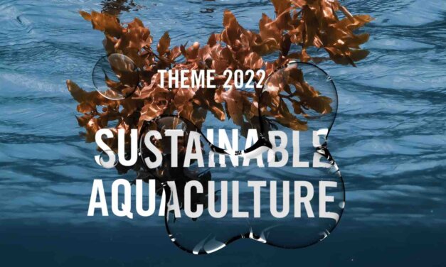 WIN WIN Gothenburg Sustainability Award 20202