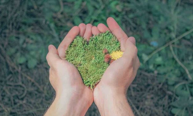 THRIVE Global Impact Challenge 2025