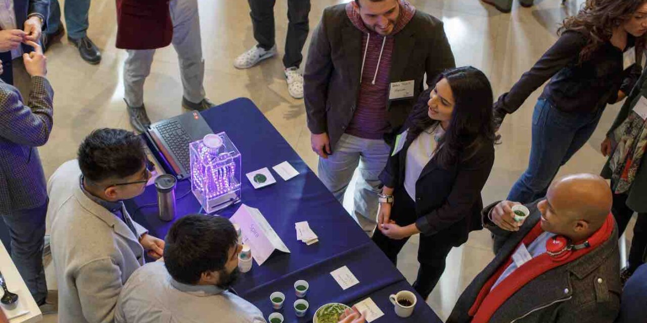 Halcyon Flagship Residential Fellowship 2022