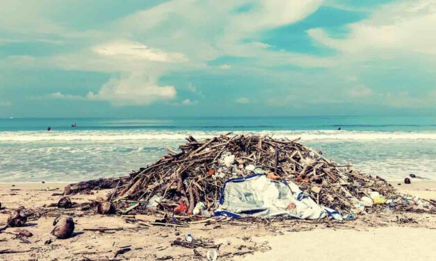 2024 Youth Innovation Challenge: Advancing Marine Conservation