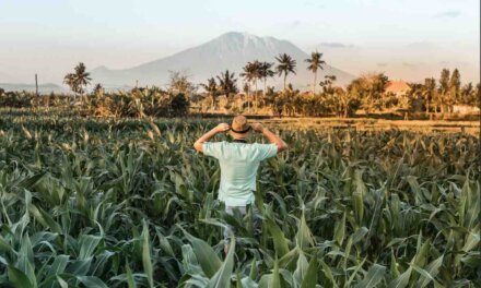 ASEAN Seeds for the Future 2022 (Asia-Pacific)