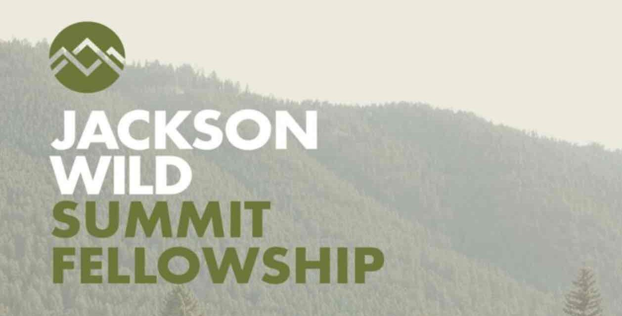 Jackson Wild Fellowship 2022 for Storytellers