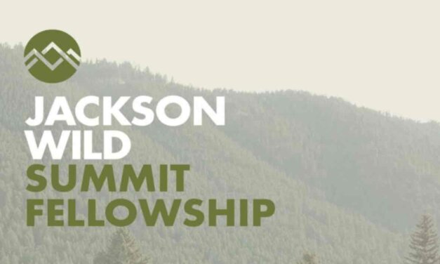Jackson Wild Fellowship 2022 for Storytellers