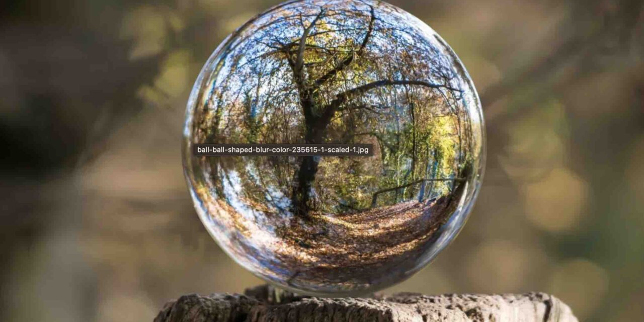 Global Landscape Forum – Restoration Stewards Program 2023