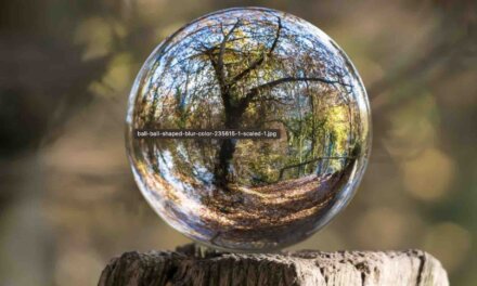 Global Landscape Forum – Restoration Stewards Program 2023