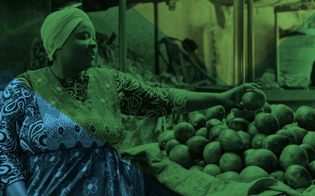 Rockefeller Foundation Food Systems Fellowship 2023