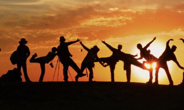 Impact Toolbox – Youth in Development Virtual Fellowship