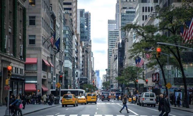 McCain Young Leaders Freedom Fellowship 2023