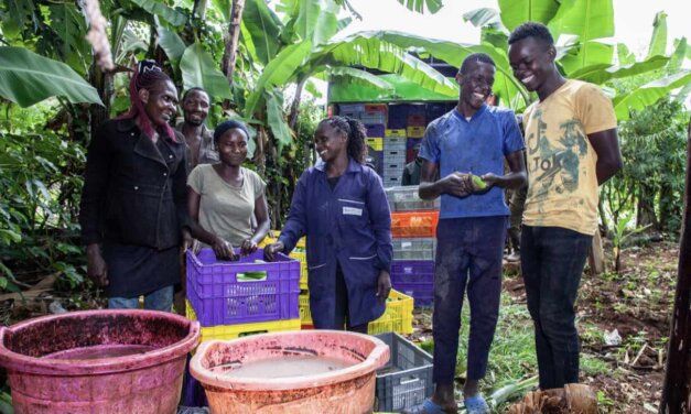 Ashen Awards 2023 – Empowering a Fairer Future