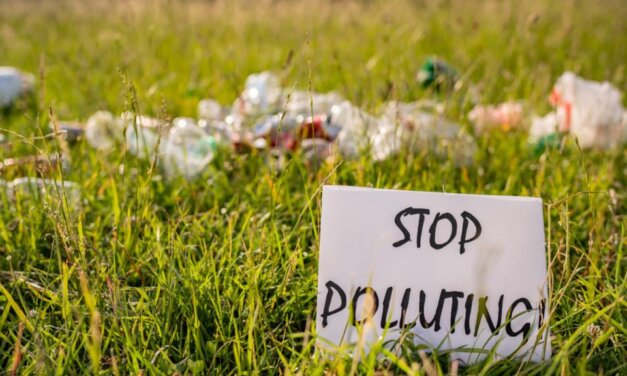 Climate Tracker Asia Solutions Story Grant on Plastics 2023