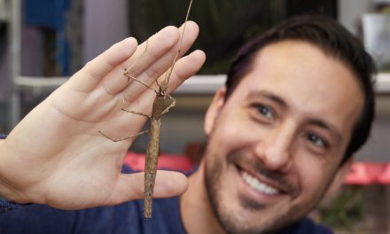 Forrest Research Foundation Fellowships 2024