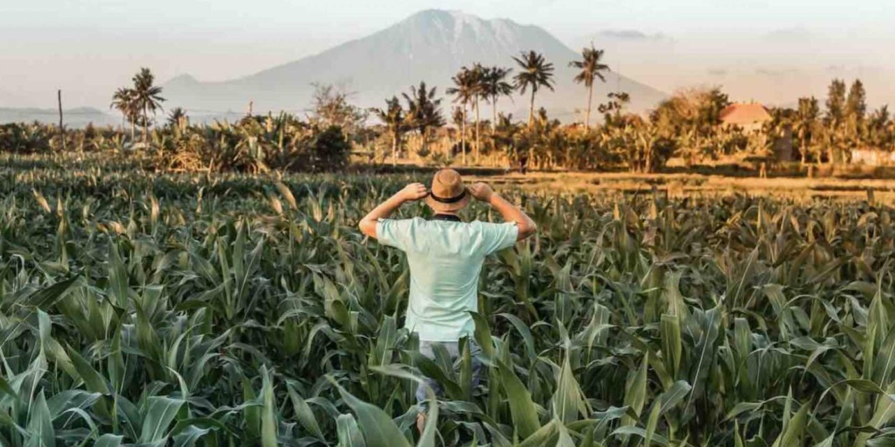 ASEAN Seeds for the Future 2024 – Tech Innovation