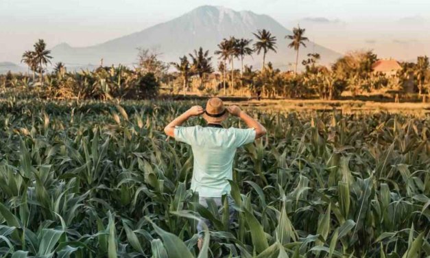 ASEAN Seeds for the Future 2024 – Tech Innovation