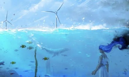 Ocean Awareness Contest 2023  – Climate Heroes in Action