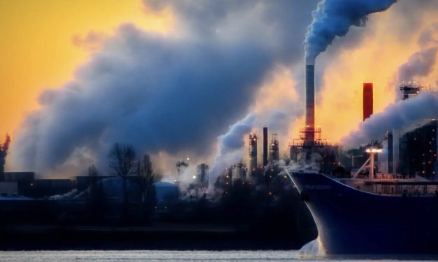 Low Carbon Earth 2024 Climate Tech Accelerator