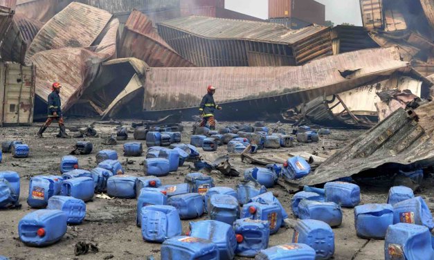 The Environmental Photographer of the Year Competition 2023