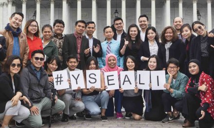 YSEALI Professional Fellows Program 2025