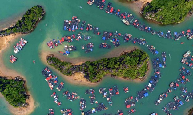 Commonwealth Grants – Open Call for Applications