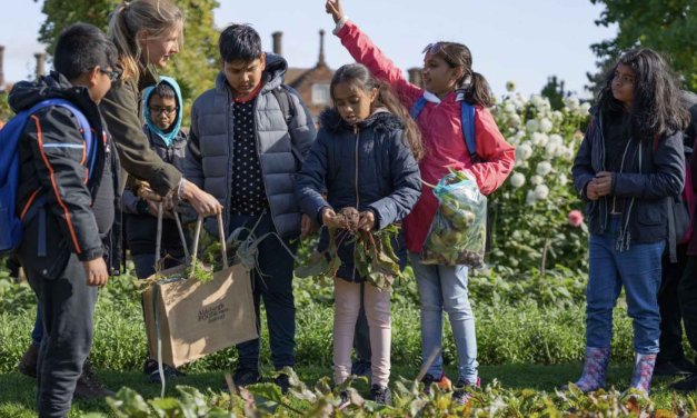 AGCO Agriculture Foundation Grants 2023