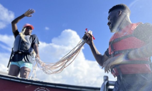 Halcyon Climate Fellowship – Spring 2024