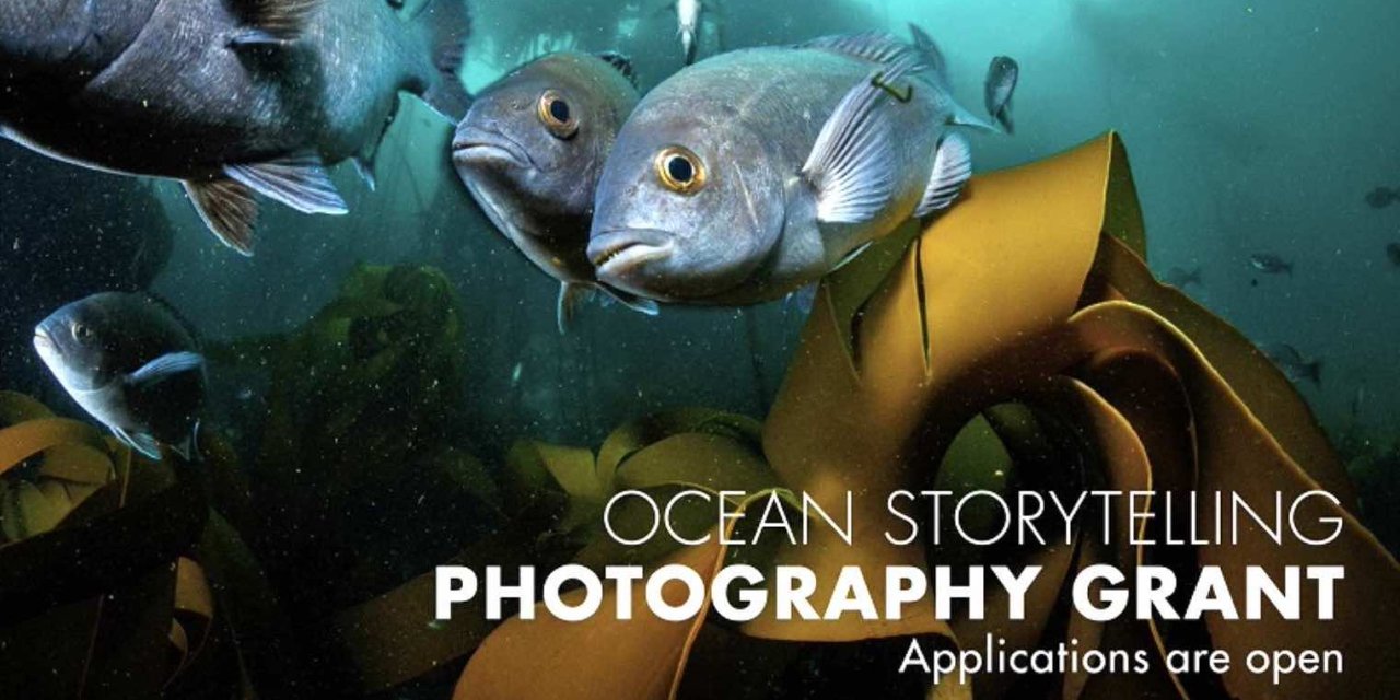 Ocean Storytelling Photography Grants 2023