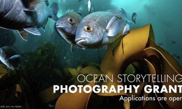 Ocean Storytelling Photography Grants 2023