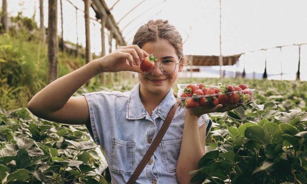 THRIVE AgriFood Global Accelerator Program 2023