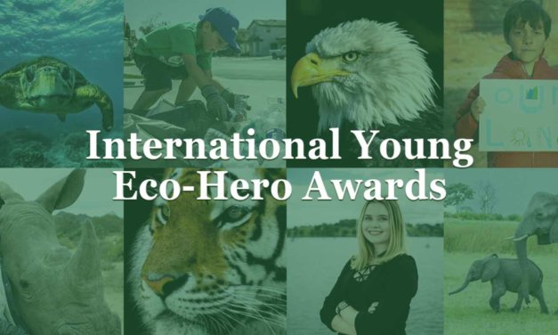 Action for Nature International Young Eco Hero Awards 2024