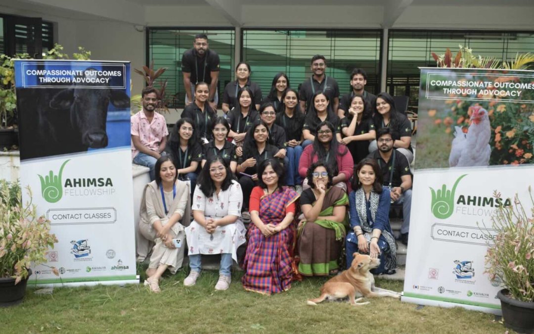 Ahimsa Fellowship Programme 2024-2025 (Animal Protection)