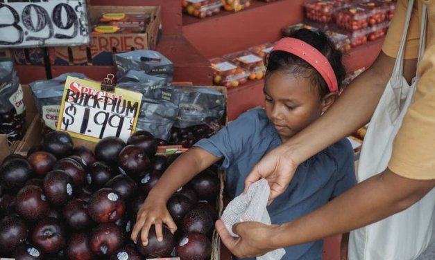 Food Chain Innovation Challenge 2024